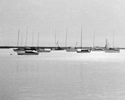 1946 - Harbor Basin